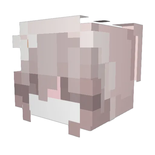 shechloe Minecraft avatar head, 3D render