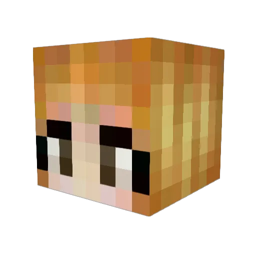shedestiny Minecraft avatar head, 3D render