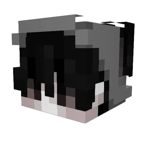 shedyboi123 Minecraft avatar head, 3D render