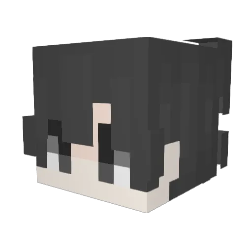 sheedshamp Minecraft avatar head, 3D render