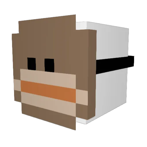 sheeeeshHatim Minecraft avatar head, 3D render