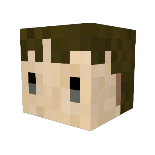 sheeling827 Minecraft avatar head, 3D render