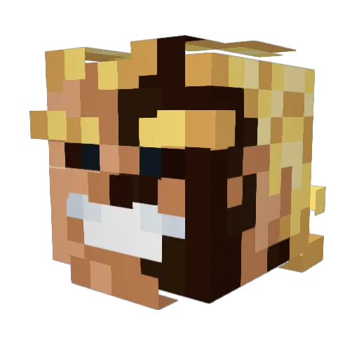 sheen_kerr Minecraft avatar head, 3D render