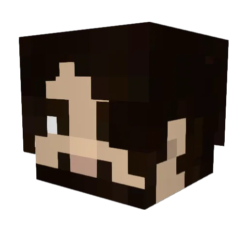 sheepdog34 Minecraft avatar head, 3D render
