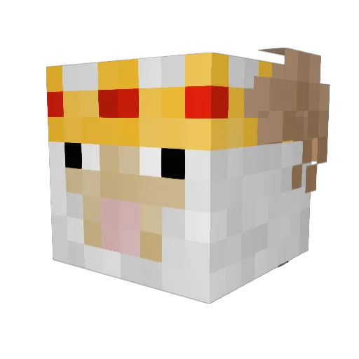 sheeper1135 Minecraft avatar head, 3D render