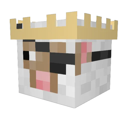 sheepify_yt Minecraft avatar head, 3D render