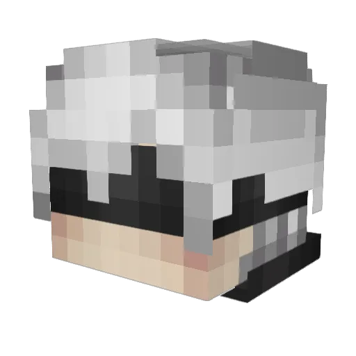 sheepign1_ Minecraft avatar head, 3D render