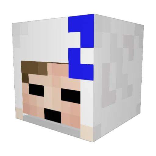 sheeply_sean Minecraft avatar head, 3D render