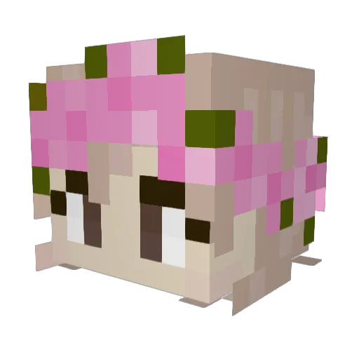 sheepoop Minecraft avatar head, 3D render