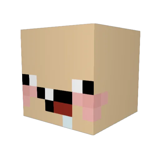 sheepsarecool08 Minecraft avatar head, 3D render