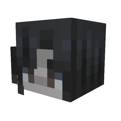 sheepsteaak Minecraft avatar head, 3D render