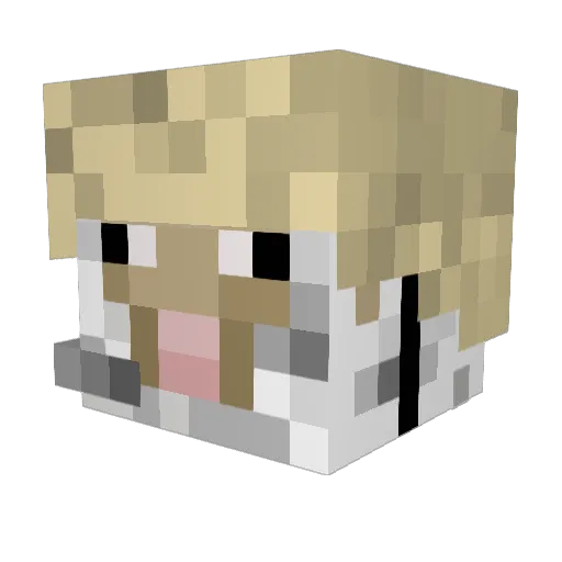 sheepysoldier9 Minecraft avatar head, 3D render