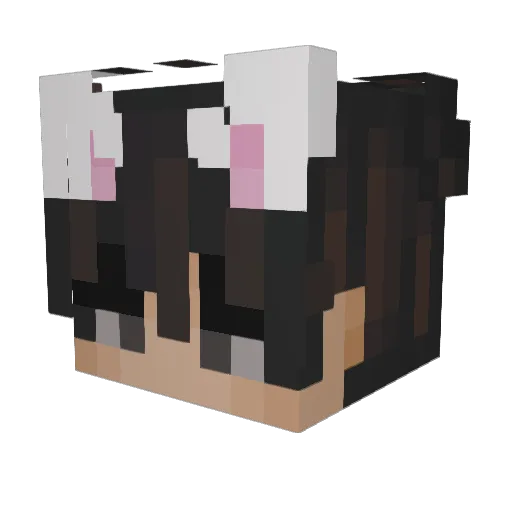 sheeshk Minecraft avatar head, 3D render