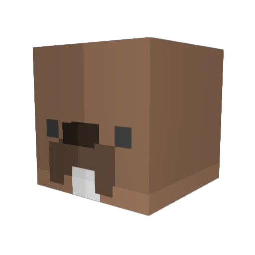 sheetybeans Minecraft avatar head, 3D render