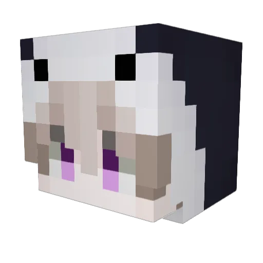 sheikfear Minecraft avatar head, 3D render
