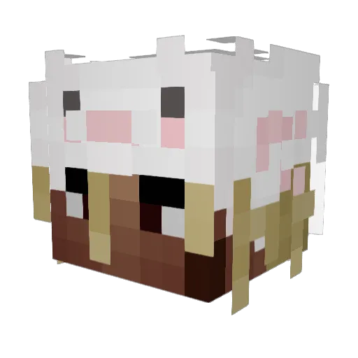 sheinuser Minecraft avatar head, 3D render