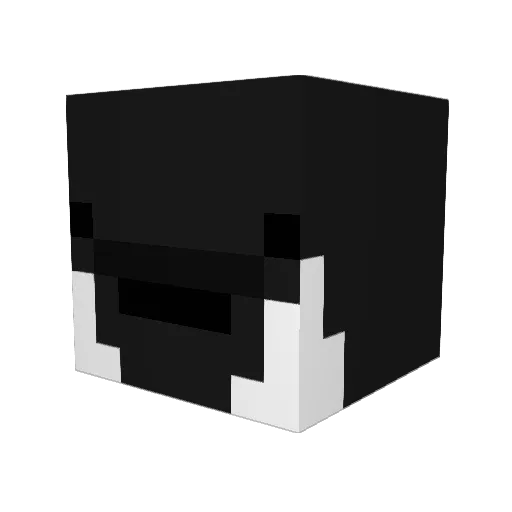 shel61 Minecraft avatar head, 3D render