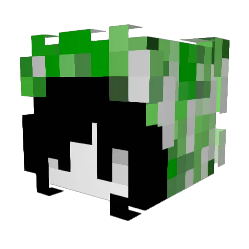shelaay Minecraft avatar head, 3D render