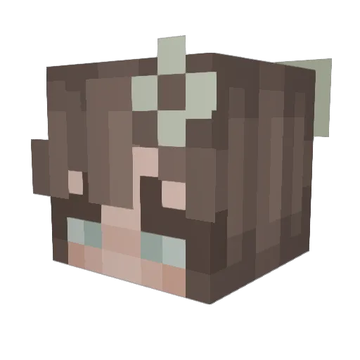 shelbety Minecraft avatar head, 3D render
