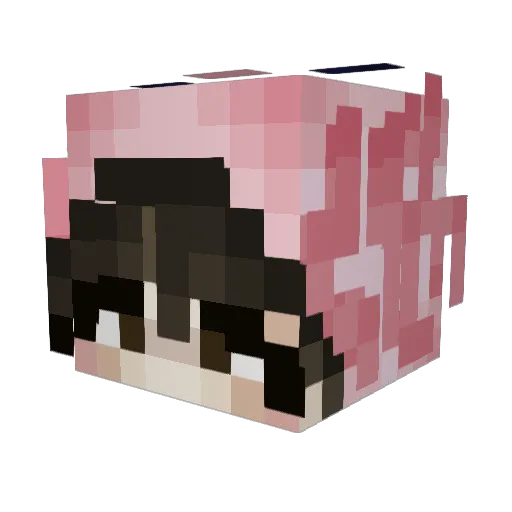 shelblam Minecraft avatar head, 3D render