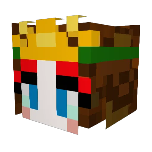 shelbuls Minecraft avatar head, 3D render
