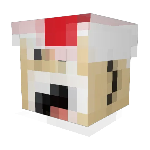 shelby624 Minecraft avatar head, 3D render
