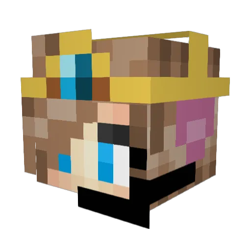 shelby_loo_whoo Minecraft avatar head, 3D render