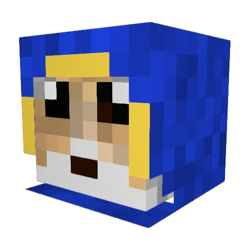 shelbytaylor Minecraft avatar head, 3D render