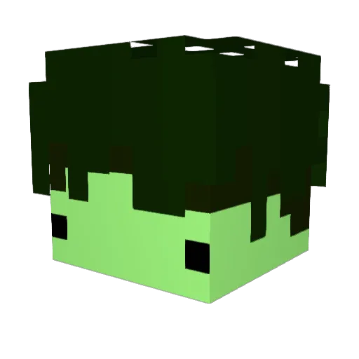 shell1222 Minecraft avatar head, 3D render
