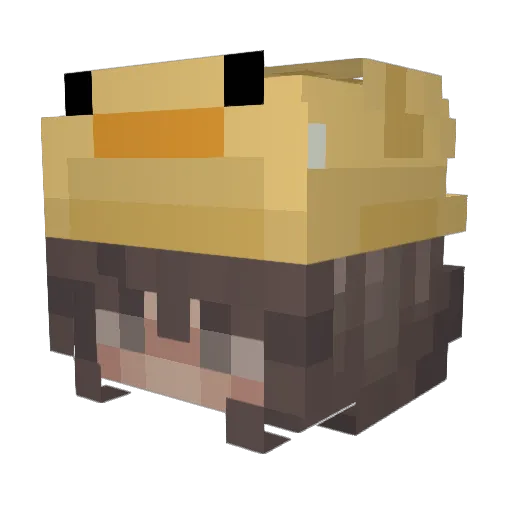 shell793 Minecraft avatar head, 3D render