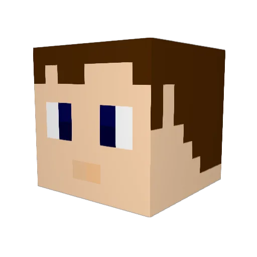 shellcool Minecraft avatar head, 3D render