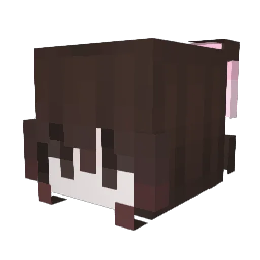 shellcy Minecraft avatar head, 3D render