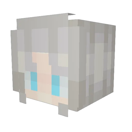shellos33 Minecraft avatar head, 3D render