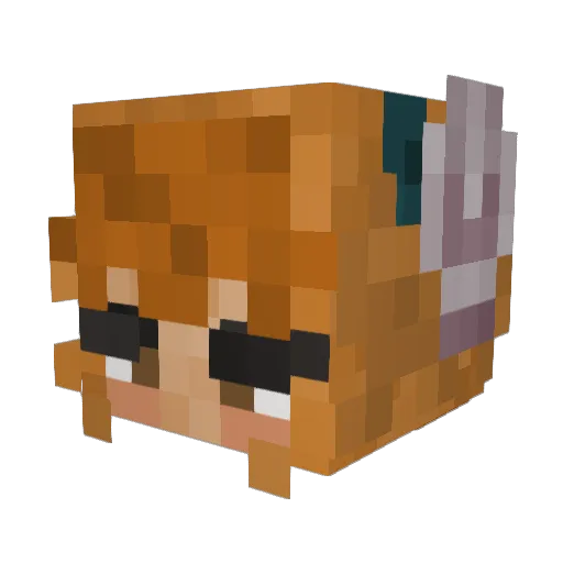 shellsinmybag Minecraft avatar head, 3D render