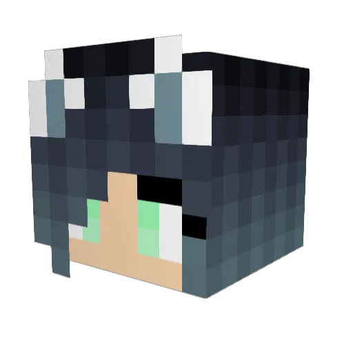 shelly2684590 Minecraft avatar head, 3D render