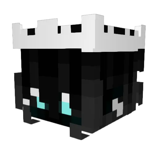 shellybesty Minecraft avatar head, 3D render