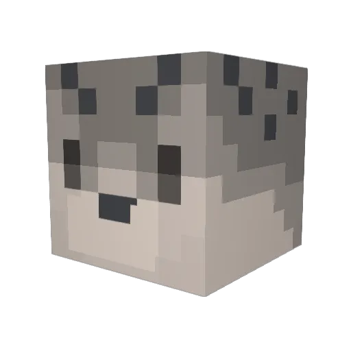 shellydabomb Minecraft avatar head, 3D render