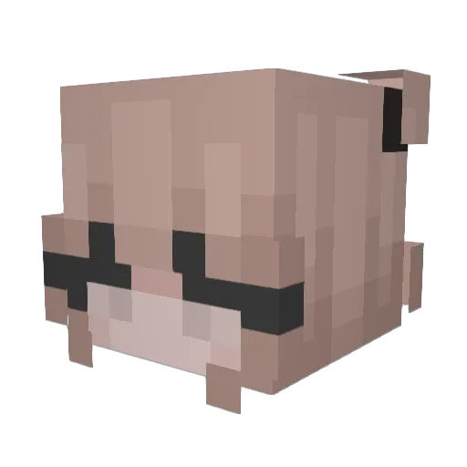 shellyshviro Minecraft avatar head, 3D render