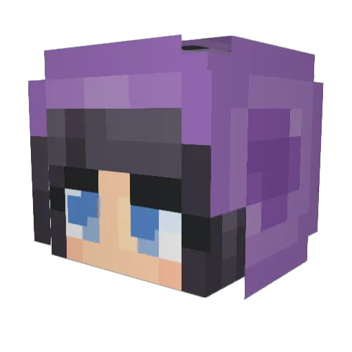 shelovesTK Minecraft avatar head, 3D render