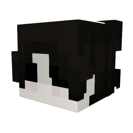 shelovevmpa Minecraft avatar head, 3D render