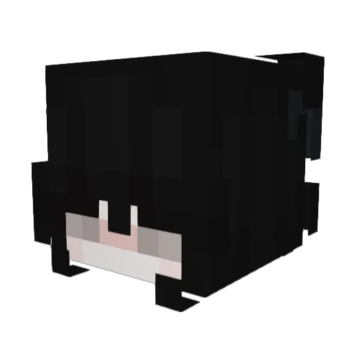 sheluvparis Minecraft avatar head, 3D render