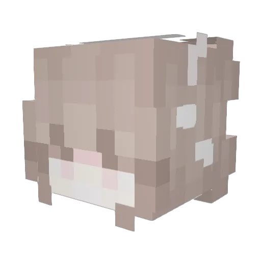 sheluvskaichi Minecraft avatar head, 3D render