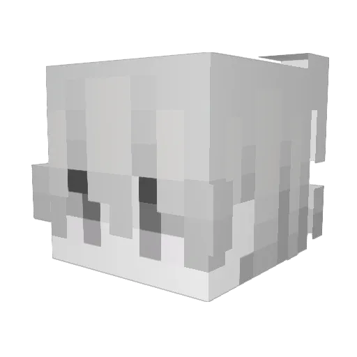 shemih Minecraft avatar head, 3D render
