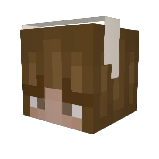shemwvarifri Minecraft avatar head, 3D render
