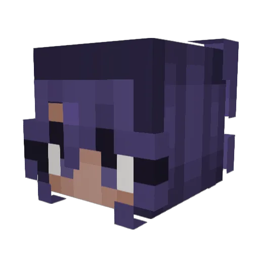 shenannagins69 Minecraft avatar head, 3D render