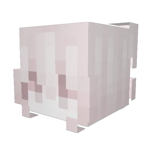 shenchi_ Minecraft avatar head, 3D render