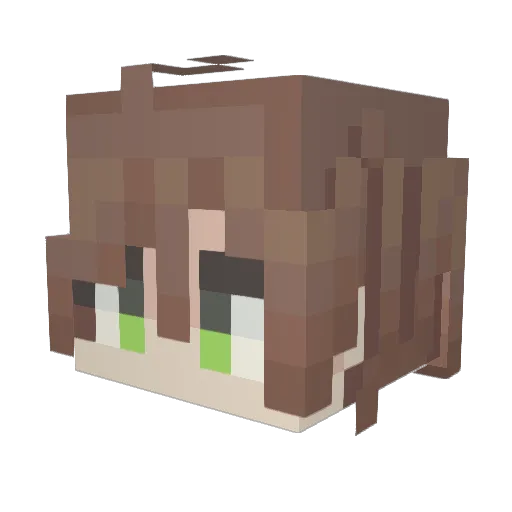 shenkong666 Minecraft avatar head, 3D render