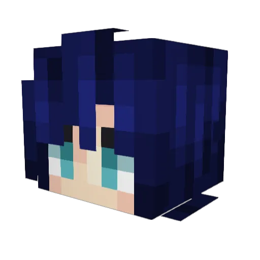 shennn9876 Minecraft avatar head, 3D render