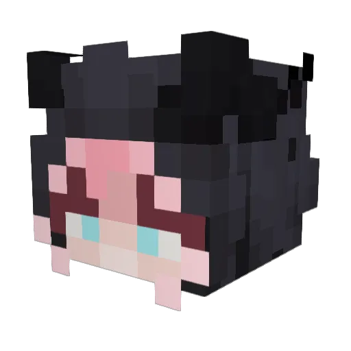 shenoodle Minecraft avatar head, 3D render