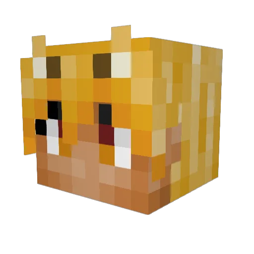 shenrarn Minecraft avatar head, 3D render